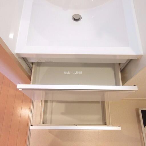 洗面台下の収納