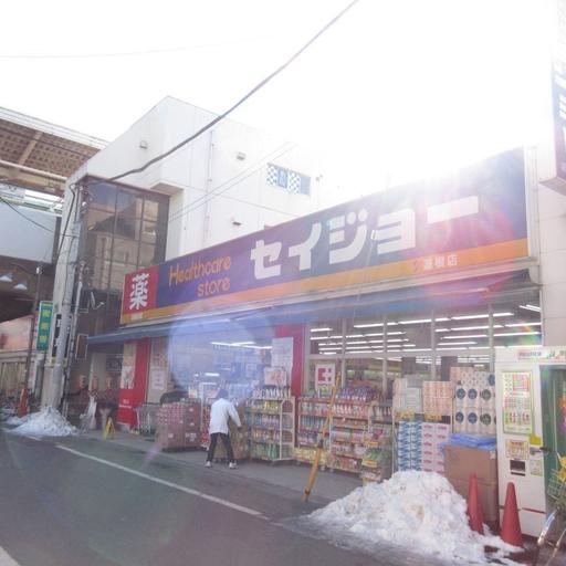 くすりセイジョー蓮根店 ドラッグストアまで歩いて10分・800m