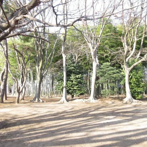 竹の子公園 公園まで歩いて1分・76m