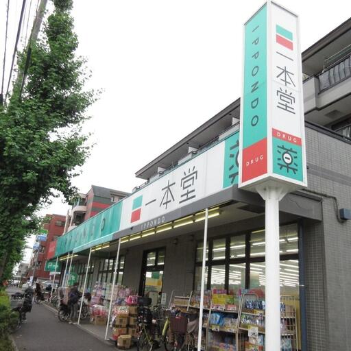 一本堂 ドラッグストアまで歩いて10分・850m