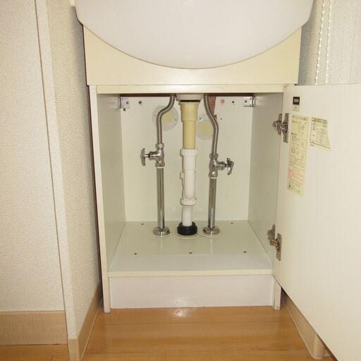 洗面台下の収納