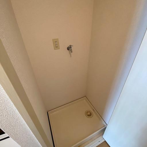 室内洗濯機置場 扉付です 玄関横にある収納のようで洗濯機置場にはみえません
