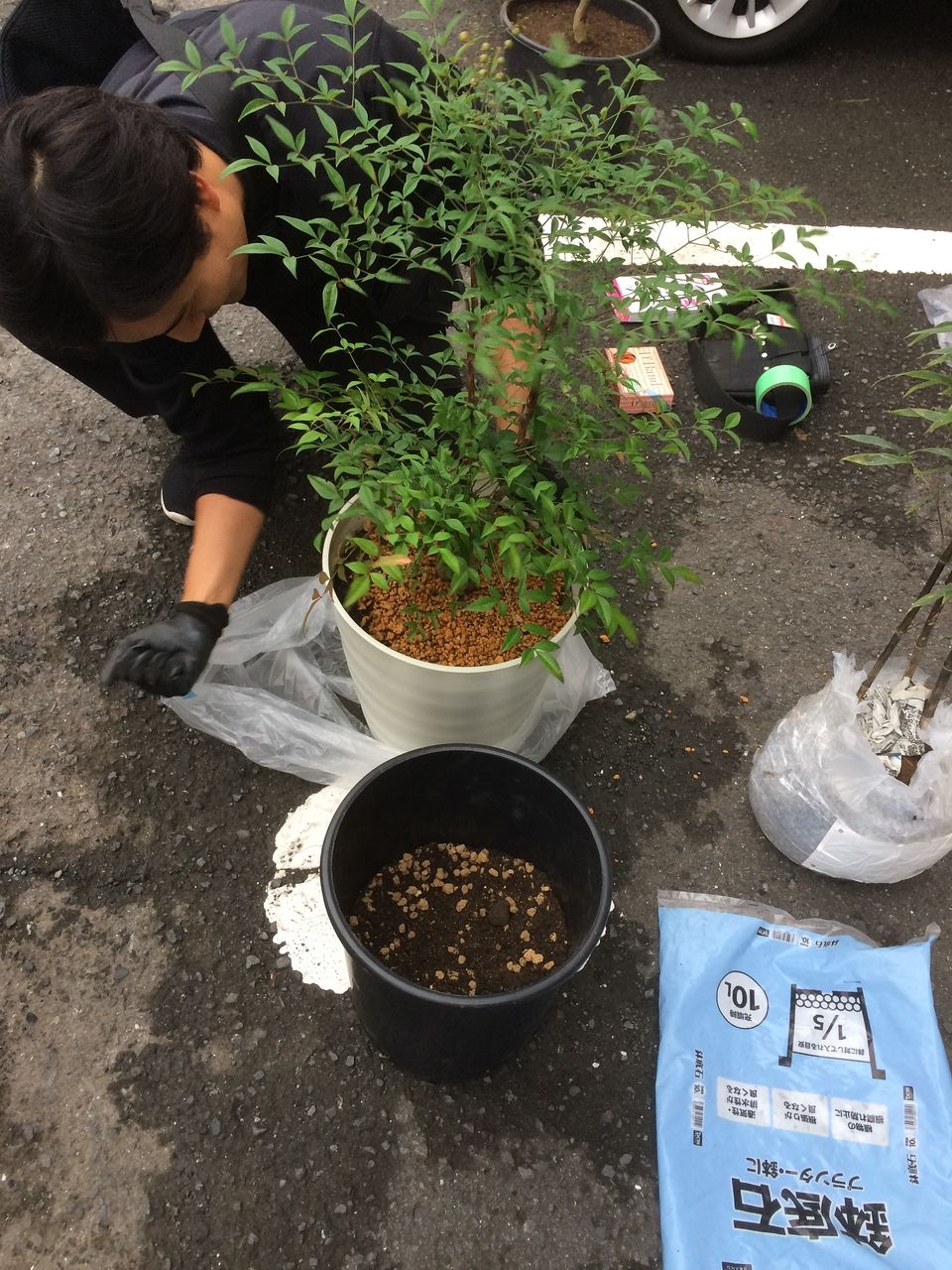 お店に行く前に植栽達を植え替えます。ホームセンターで買ってきた培養土などを使って、植栽達をナーセリーポットに植えていきます。